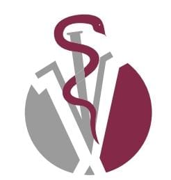 Logo ConferenciasVet